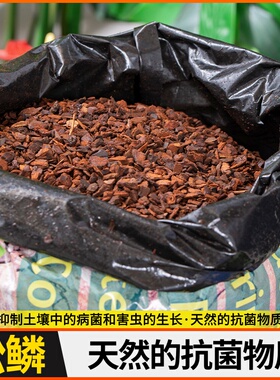 兰花植料新西兰奥科特Orchiata进口松树皮栽培专用基质透气保湿松