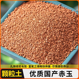 赤玉土金松土原装颗粒营养土专用铺面多肉盆景土专用优质通用型土