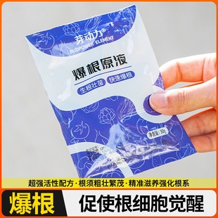 金弹子爆根剂专用生根壮苗水溶肥复活营养粉原液扦插强力猛活力素