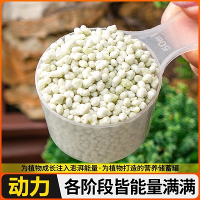 香水柠檬树肥料专用肥营养液缓释肥复合肥盆栽挂果结果保果有机肥