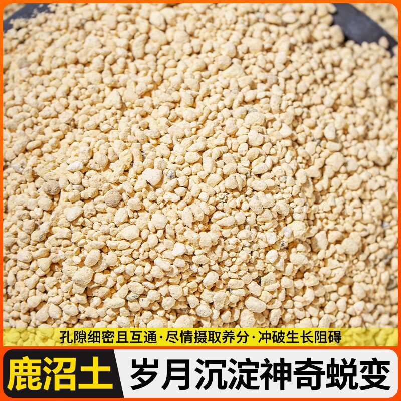 鹿沼土硬质介质无菌无虫 资材杜鹃酸性土 颗粒土种花土基质配方透