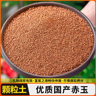 颗粒硬质颗粒赤玉土金松土正品多肉盆景专用爬宠铺面石营养土通土