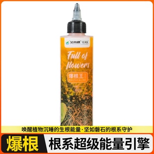 金弹子爆根剂专用生根壮苗水溶肥复活营养粉原液扦插强力猛活力素