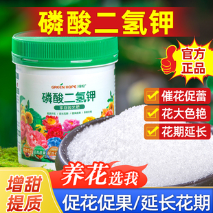栀子花专用肥料盆栽黄叶硫酸亚铁养料磷酸二氢钾酸性营养液调节土