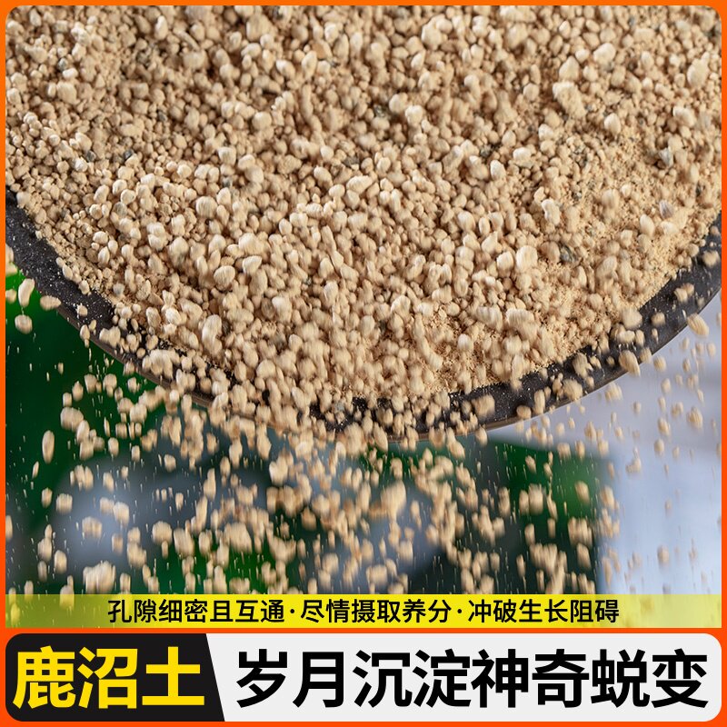 多肉植物育苗土种植土营养土赤玉土鹿沼土麦饭石火山岩稻壳炭泥炭