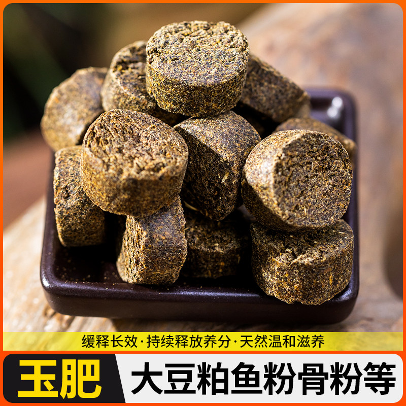 玉肥原装通用肥料盆景专用盆栽兰花卉长效有机缓释肥颗粒缓释肥,鲜花速递/花卉仿真/绿植园艺,家庭园艺肥料,淘宝优惠券,粉丝福利购,淘宝优惠卷