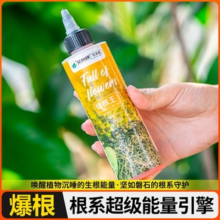金弹子爆根剂专用生根壮苗水溶肥复活营养粉原液扦插强力猛活力素