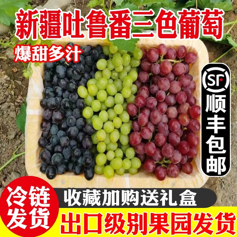 新疆葡萄新鲜当季水果三拼吐鲁番无核白无籽三色葡萄整箱顺丰包邮