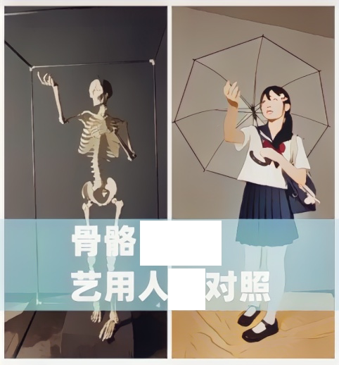 艺用人女子 真人骨骼对照图 全角度绘画速写解剖素材资料