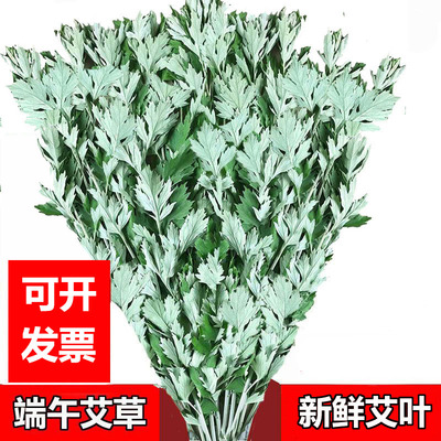 新鲜艾草鲜艾叶驱蚊端午节挂门窗