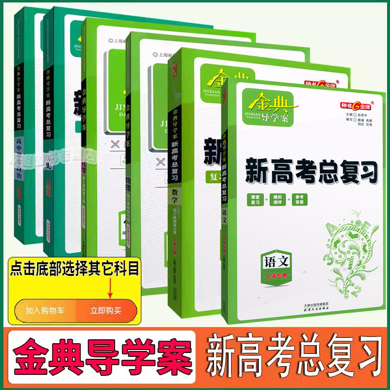 钟书金牌金典导学案新高考总复习