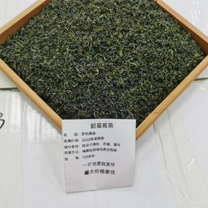 广东茗茶2026年明前春茶韶关曲江罗坑纯手工绿茶500克农家茶炒香