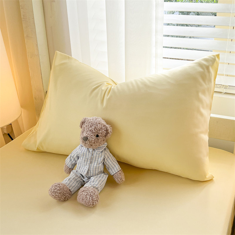 水洗棉春夏新款枕套一对枕头套装成人家用单个学生48cmx74cm单人