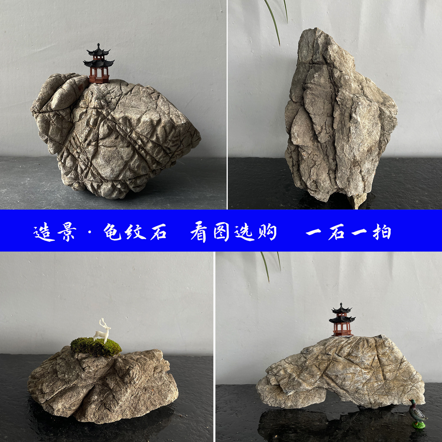 精选天然龟纹石山水盆景石鱼缸造景石桌面景观阳台花箱装饰真石头