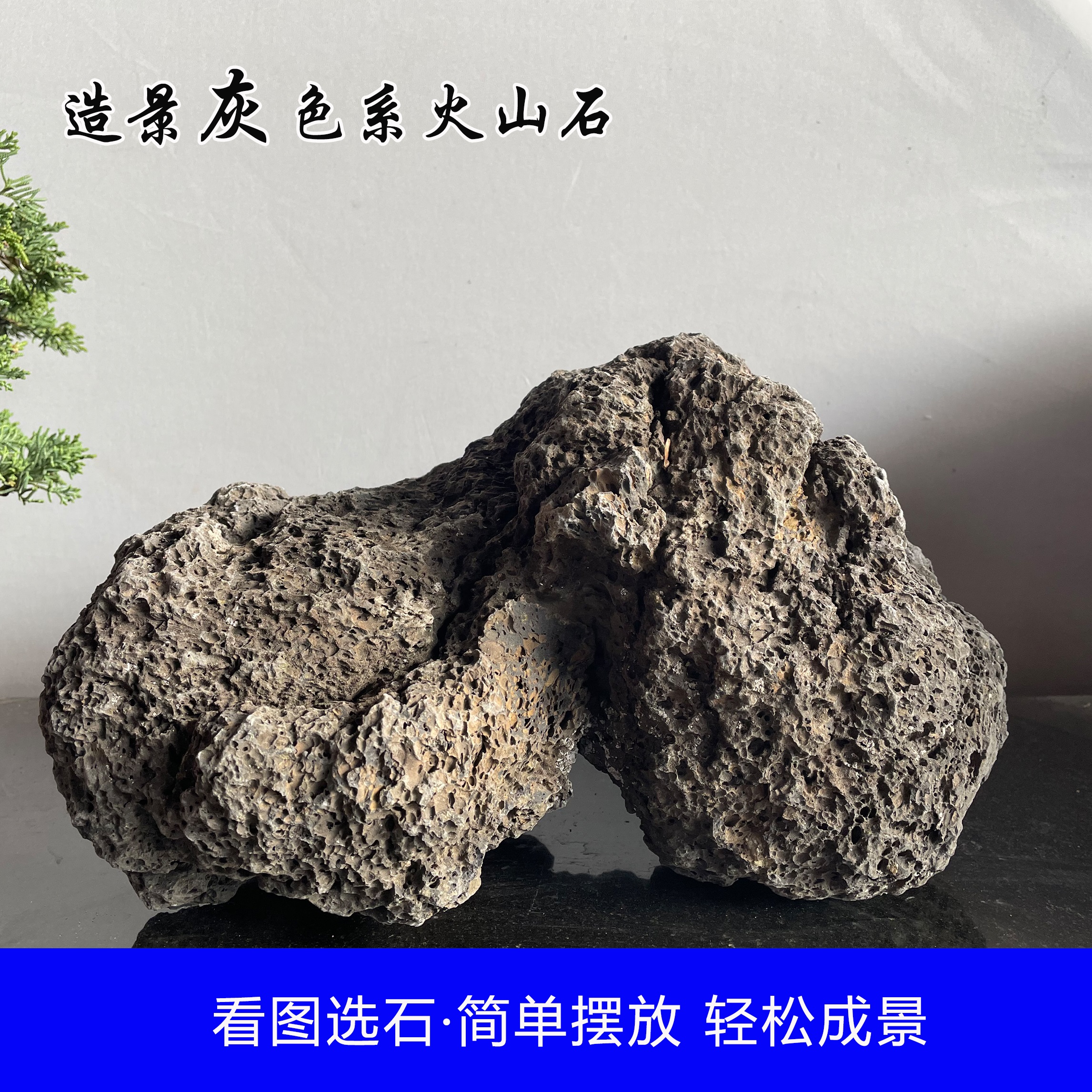 深灰色老火山石热带雨林风