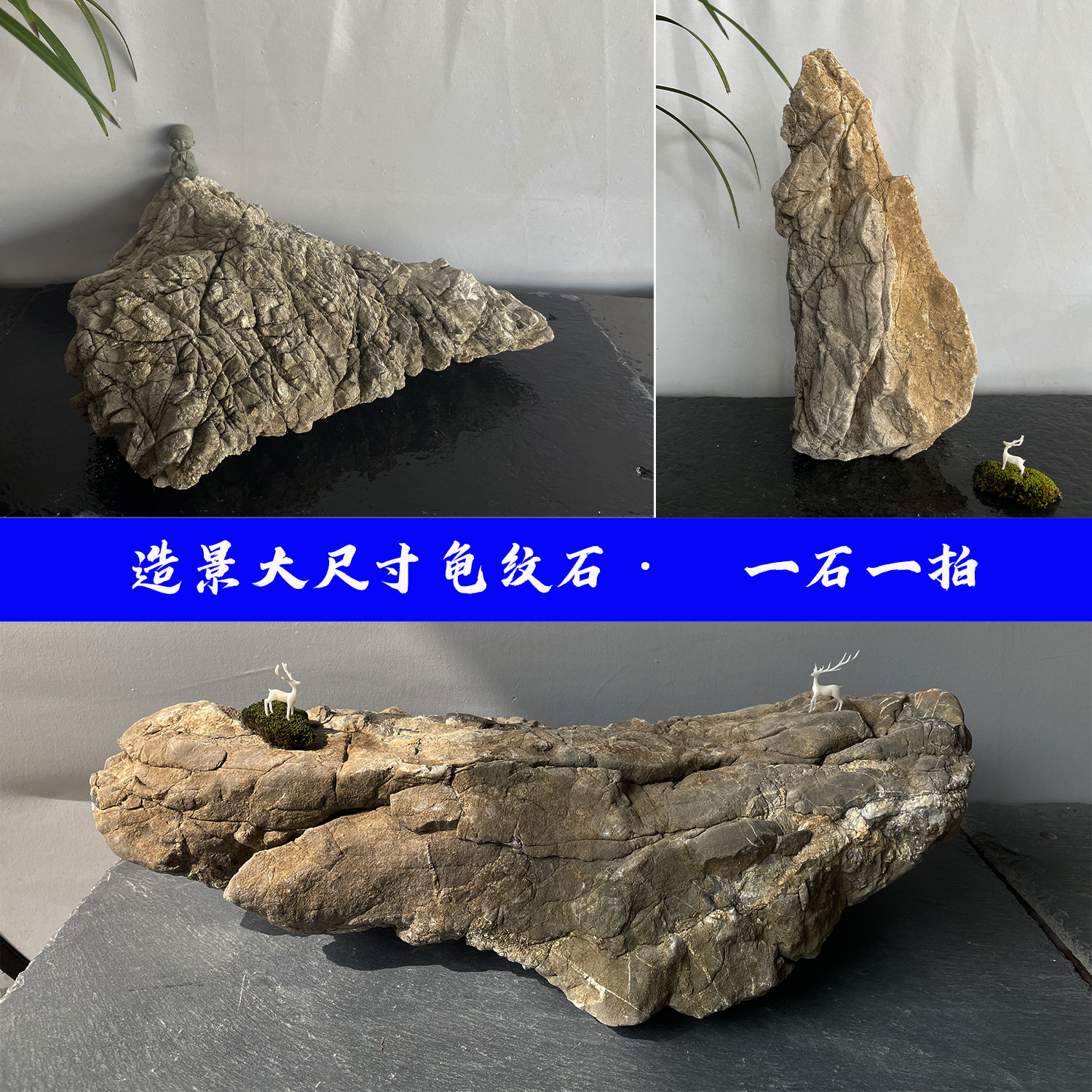 大块龟纹石天然原石鱼缸造景石山水盆景石庭院阳台装饰园艺假山石