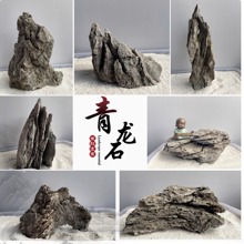 青龙石一物一拍天然鱼缸造景石头盆景附树石乌龟晒台英德石微景观
