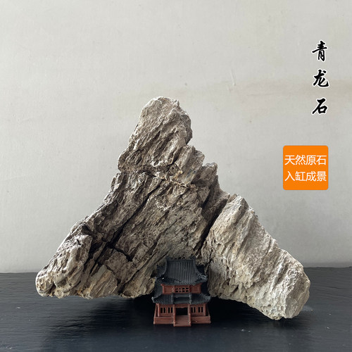 青龙石造景石一物一拍鱼缸石头