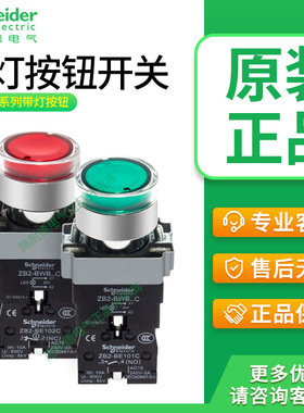 施耐德带灯按钮开关XB2BW33B1C XB2BW34M2C ZB2BE101 102C 24V