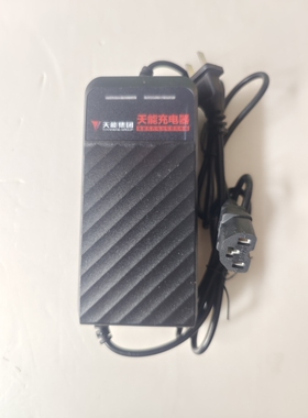 原厂正品天能充电器雅迪爱玛台铃48V60V72V智能电动车