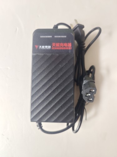 原厂正品天能充电器雅迪爱玛台铃48V60V72V智能电动车