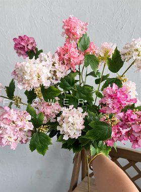 INS风手工仿真绣球花束白绿色家居装饰摆件3头木绣球客厅装饰雪球
