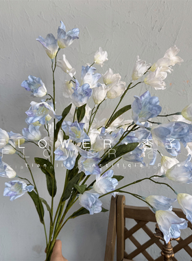 4叉灯笼花仿真花皱纹布小众家居餐桌花摆件风铃草摄影道具百子莲