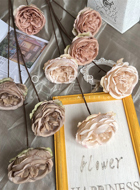 奶咖色仿真花奥斯汀假花奶茶色婚庆花艺紫色茶花假花粉色少女玫瑰