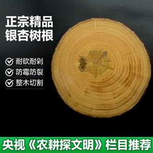 《农耕探文明》正宗泰兴成进华圆形白果树菜板 银杏砧板 整木树墩