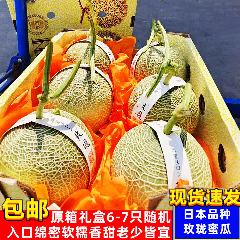 日本品种玫珑蜜瓜原箱装静冈夕张网纹蜜瓜哈密瓜甜瓜海南玫珑蜜瓜