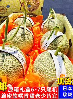 日本品种玫珑蜜瓜软糯香甜多汁