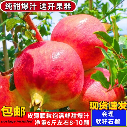 突尼斯软籽石榴礼盒装现货