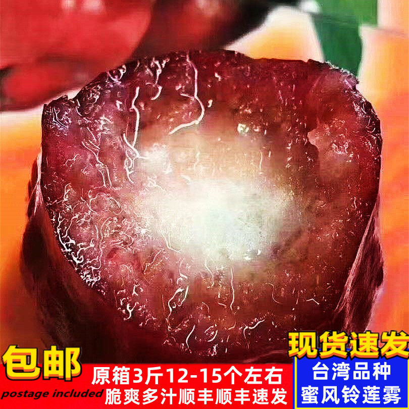 现货当季蜜风铃莲雾4斤装时令热带莲雾果新鲜水果 巴掌莲雾包邮
