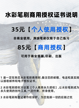 商用授权版 Procreate水彩笔刷 iPad水彩笔刷 水墨 国画笔刷