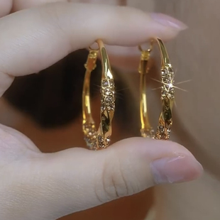 个性设计感耳圈s925银针夸张圈圈新款潮耳环小众气质高级感耳饰女