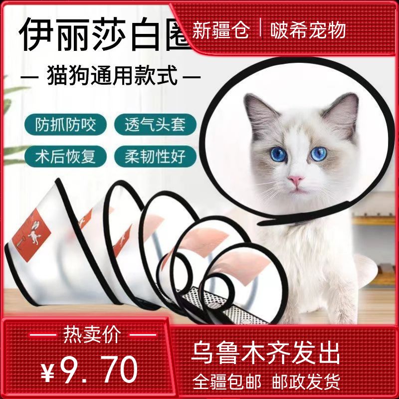 脖圈伊丽莎白圈新疆包邮猫狗通用宠物伊丽莎白圈