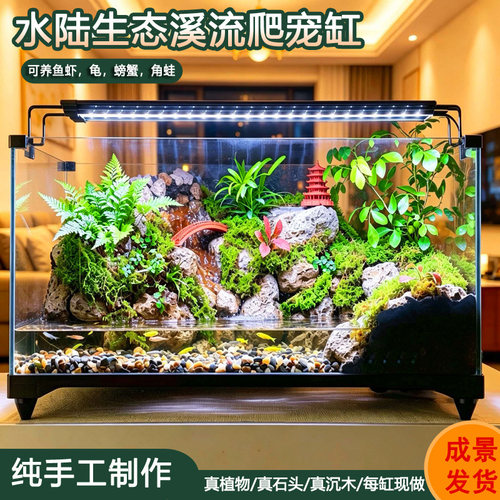 桌面苔藓微景观雨林缸生态瓶