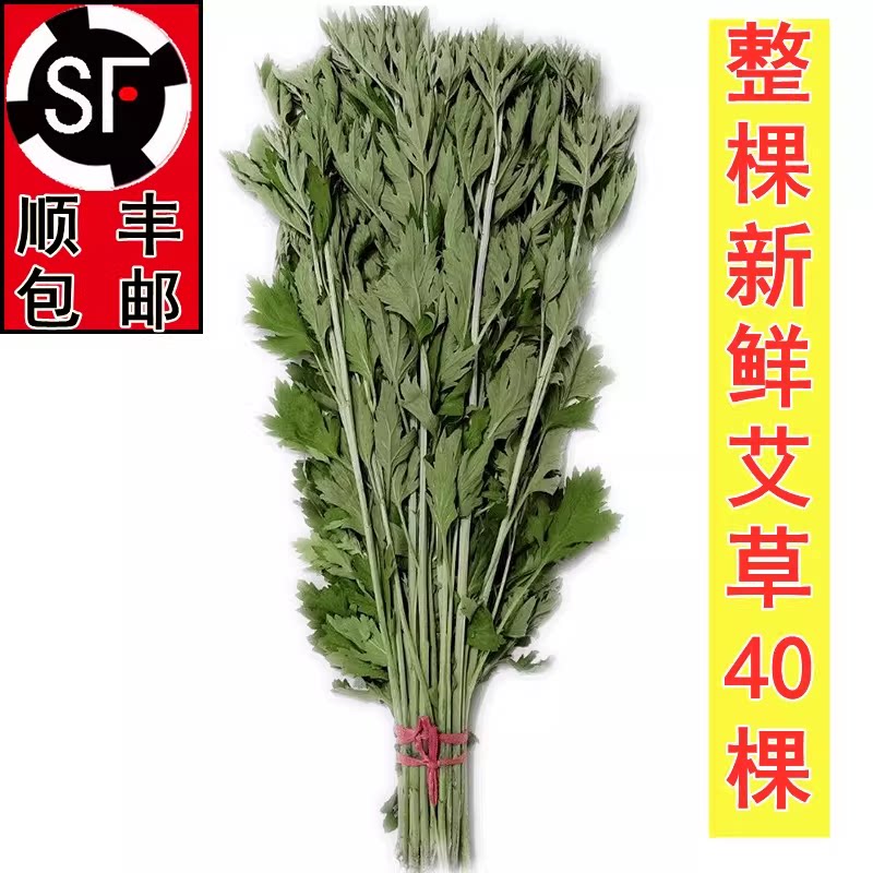 新鲜艾草整棵艾叶菖蒲清明节全株艾草叶长颗花束端午挂门艾蒿驱蚊