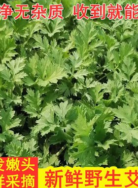 野生鲜艾叶清明糍粑青团现摘
