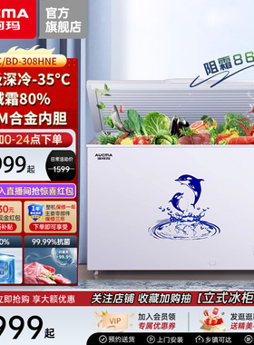 澳柯玛BC/BD-308HNE大容量家用冰柜商用冷藏冷冻冷柜