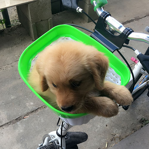 Panier pour vélo en plastique - Ref 2257509 Image 5