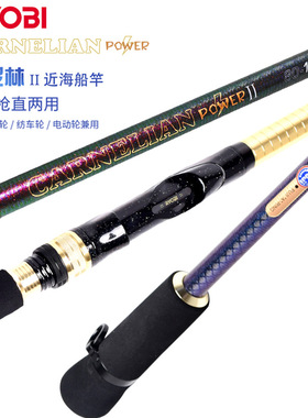 RYOBI利优比柯尼林Ⅱ深海船钓竿海钓枪直两用近海船钓竿实心