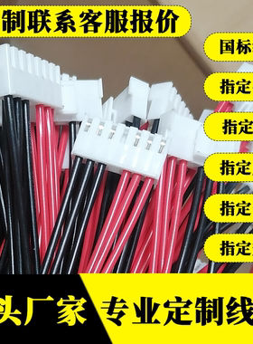 VH3.96端子线CH3.96加工定制线束加工VH396订做单头双头插头线2P
