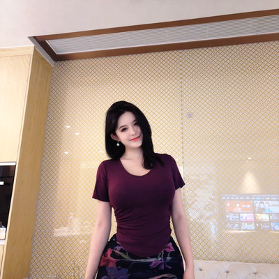 暗香叠影 夏季休闲百搭气质显瘦修身U型领短袖上衣G224