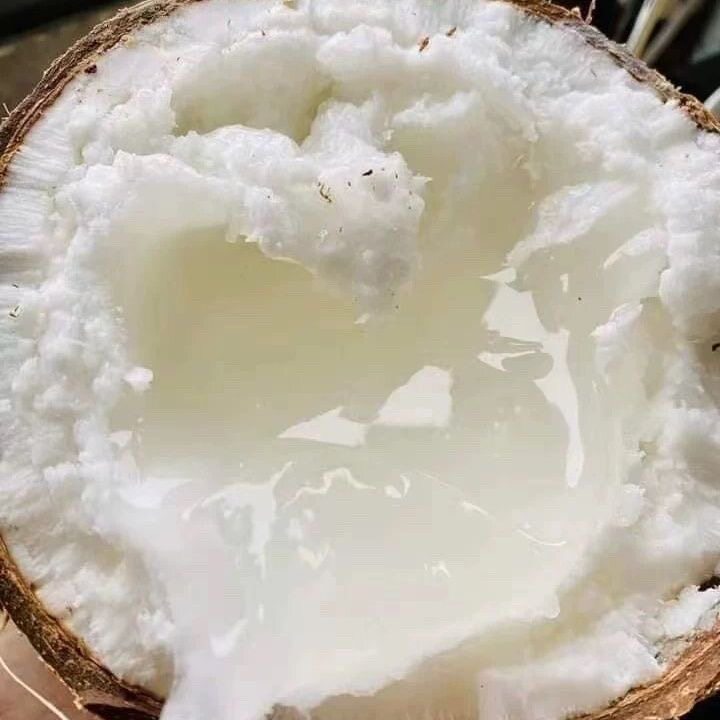 越南野生Dua sap loai 1 bao ngon bao hu  糯米椰子糯叽玛卡普诺