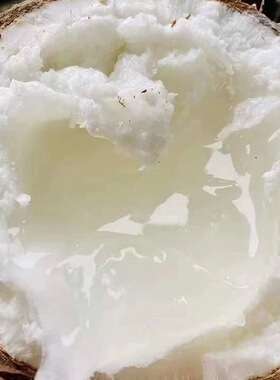 越南野生Dua sap loai 1 bao ngon bao hu  糯米椰子糯叽玛卡普诺