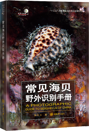 常见海贝野外识别手册 陈志云 收录我国海域分布的海洋贝类591种 贝壳形态 种类鉴别 生态习性 地理分布 生物学知识 原色图片