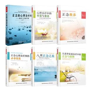 正念的心理治疗师-临床工作者手册+技能+智慧与慈悲+八周正念之旅-摆脱抑郁与情绪压力+夫妻和家庭治疗中的正念与接纳+教养
