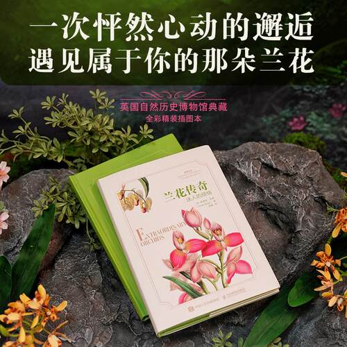 官方正版 出版社直发