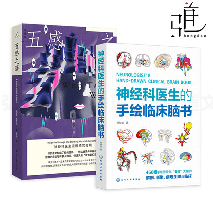 2册 神经科医生的手绘临床脑书 徐桂兴+五感之谜-神经科医生漫游感官奇境 看懂大脑解剖影像病理生理与临床 神经内科外科教程科普z